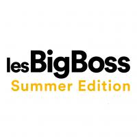 Logo Big Boss Summer Edition