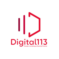 Logo Digital 113