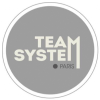 Logo Team System