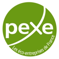 Logo PEXE