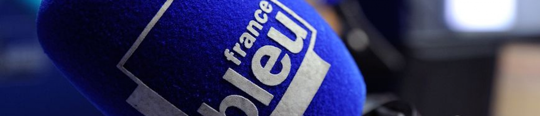 Bannière France Bleu 