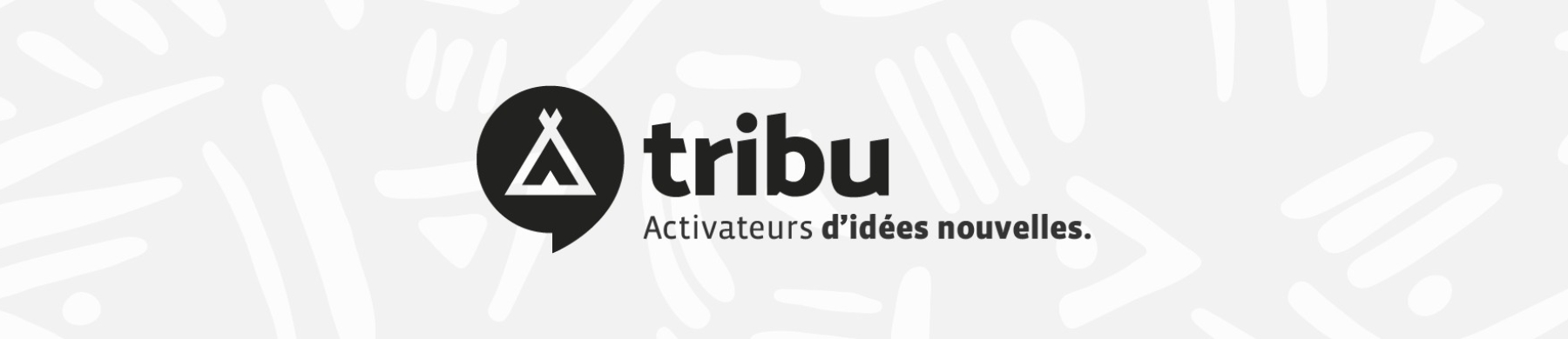 Agence Tribu - MV Group