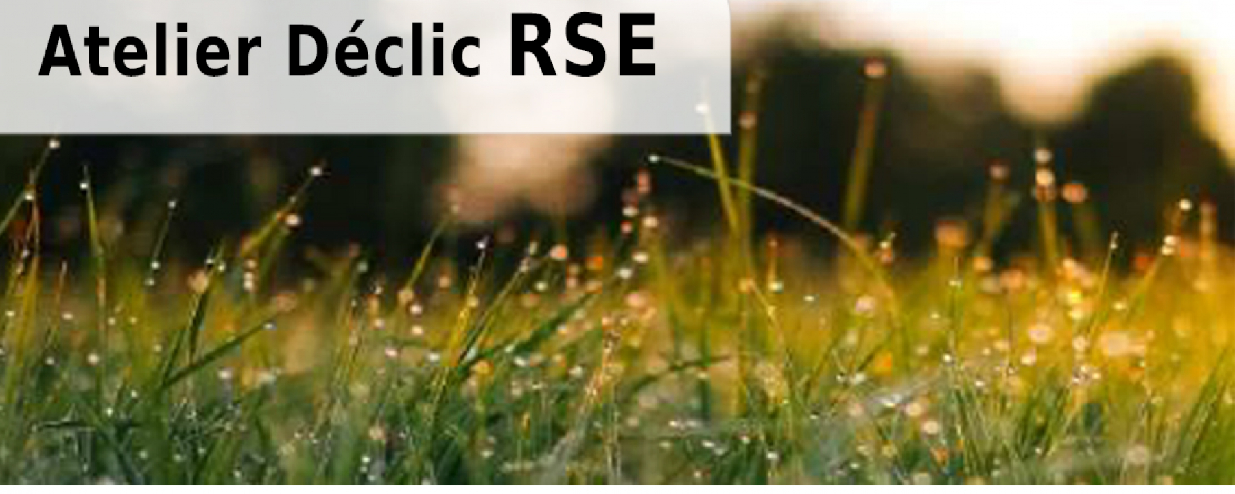 Atelier Déclic RSE - La RSE : définition, enjeux et perspectives pour les PME par CCI Paris