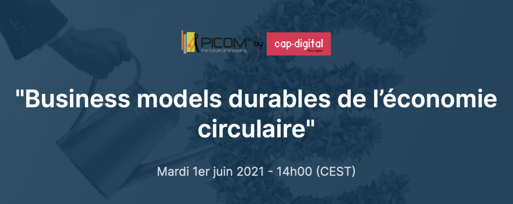 Business models durables de l’économie circulaire, organisé par PICOM le 1er juin 2021